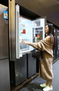 高端家電逆勢增長 供需失衡下的市場突圍與軟件開發(fā)賦能